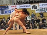 IMG_2675