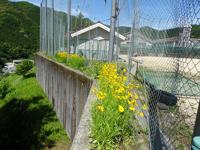 ホーム | 西予市立城川中学校