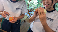 PXL_20251009_015409977.MP